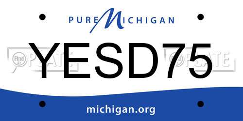 YESD75 Michigan License Plate