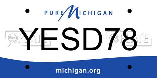 YESD78 Michigan License Plate