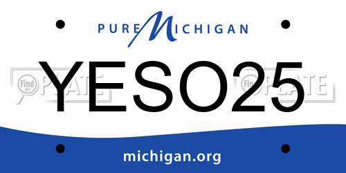 YESO25 Michigan License Plate