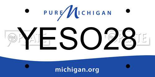 YESO28 Michigan License Plate