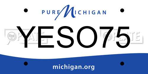 YESO75 Michigan License Plate