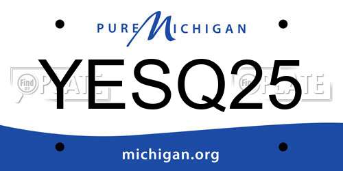 YESQ25 Michigan License Plate