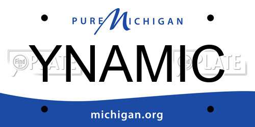 YNAMIC Michigan License Plate