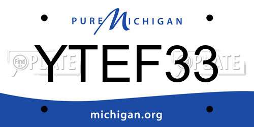 YTEF33 Michigan License Plate