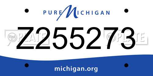 Z255273 Michigan License Plate