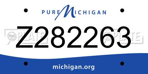Z282263 Michigan License Plate