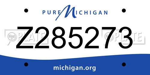 Z285273 Michigan License Plate