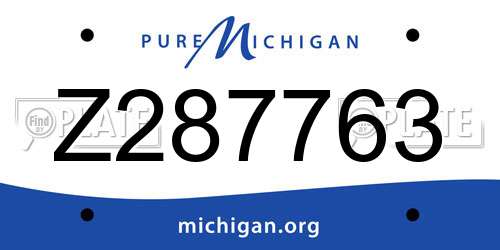 Z287763 Michigan License Plate