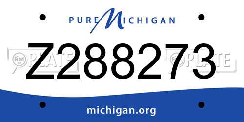 Z288273 Michigan License Plate