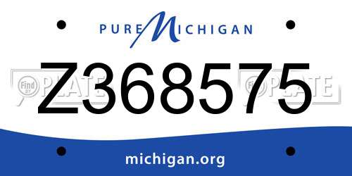 Z368575 Michigan License Plate