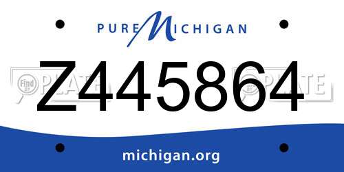 Z445864 Michigan License Plate