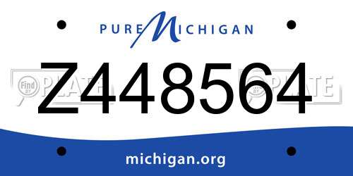 Z448564 Michigan License Plate