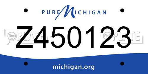 Z450123 Michigan License Plate