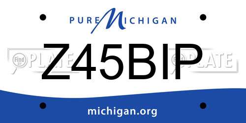 Z45BIP Michigan License Plate