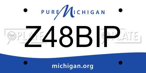 Z48BIP Michigan License Plate