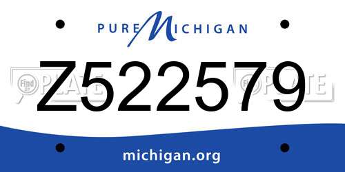 Z522579 Michigan License Plate