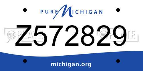 Z572829 Michigan License Plate