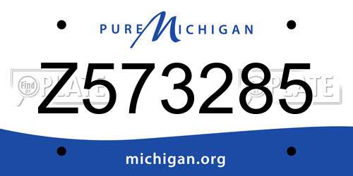 Z573285 Michigan License Plate