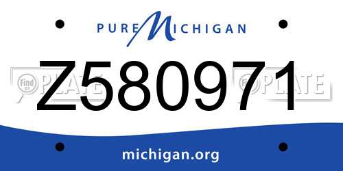 Z580971 Michigan License Plate