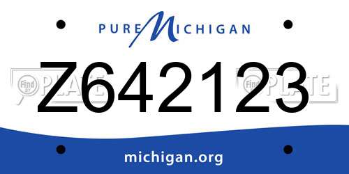 Z642123 Michigan License Plate
