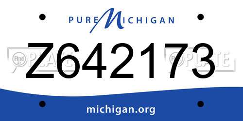 Z642173 Michigan License Plate