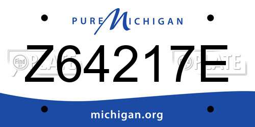 Z64217E Michigan License Plate