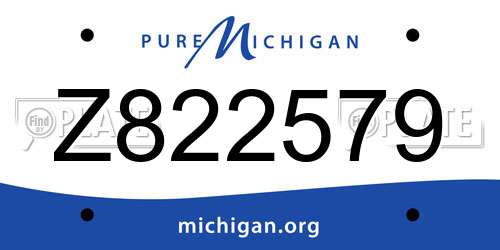 Z822579 Michigan License Plate