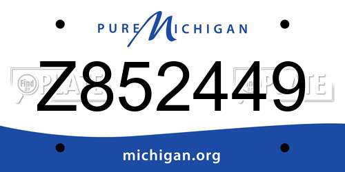 Z852449 Michigan License Plate
