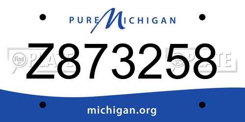 Z873258 Michigan License Plate