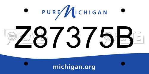 Z87375B Michigan License Plate