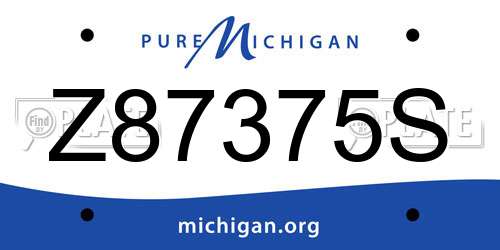 Z87375S Michigan License Plate