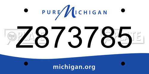 Z873785 Michigan License Plate