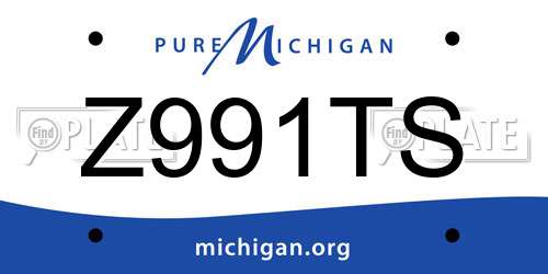Z991TS Michigan License Plate