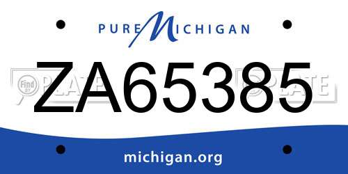 ZA65385 Michigan License Plate