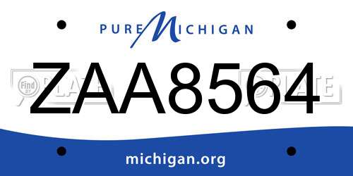 ZAA8564 Michigan License Plate