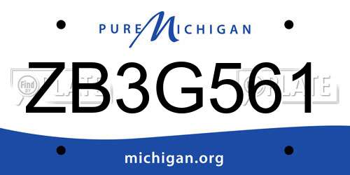 ZB3G561 Michigan License Plate