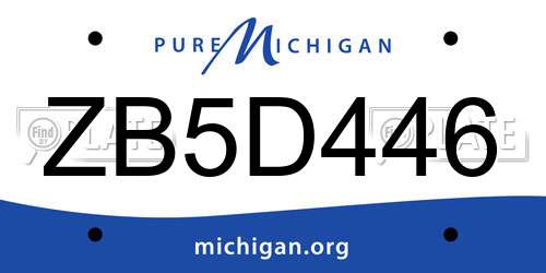 ZB5D446 Michigan License Plate