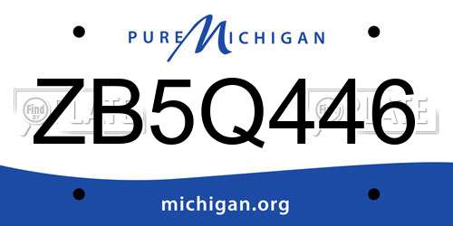 ZB5Q446 Michigan License Plate