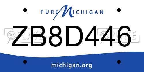 ZB8D446 Michigan License Plate