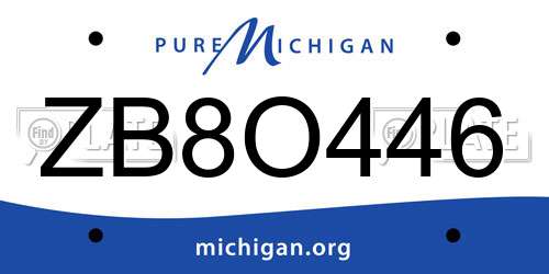 ZB8O446 Michigan License Plate