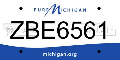 ZBE6561 Michigan License Plate