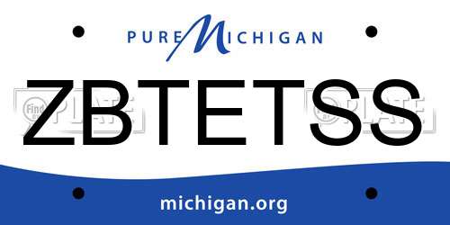 ZBTETSS Michigan License Plate