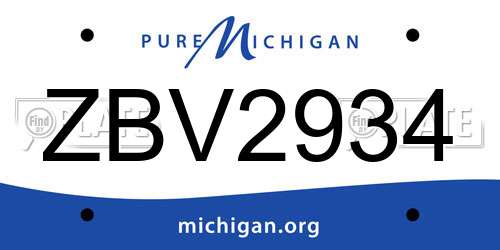 ZBV2934 Michigan License Plate