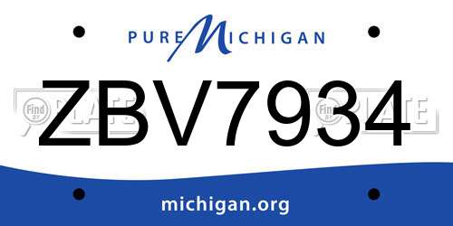 ZBV7934 Michigan License Plate