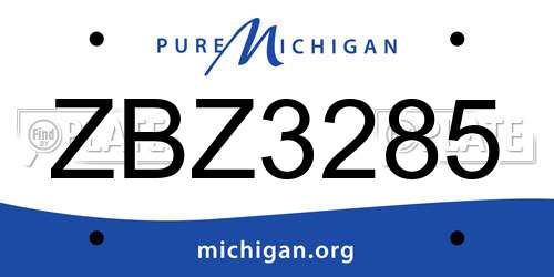 ZBZ3285 Michigan License Plate