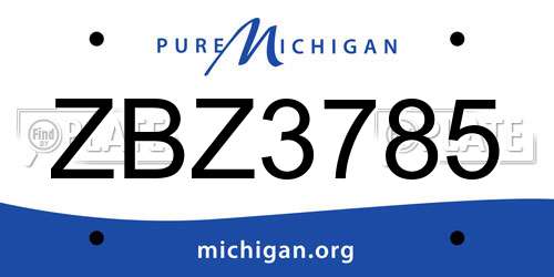 ZBZ3785 Michigan License Plate