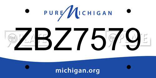 ZBZ7579 Michigan License Plate