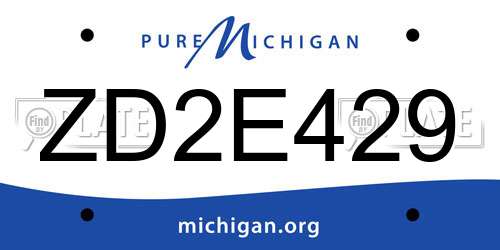 ZD2E429 Michigan License Plate