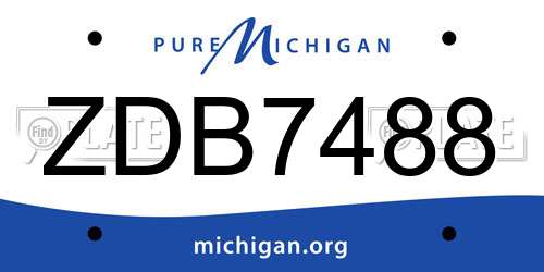 ZDB7488 Michigan License Plate