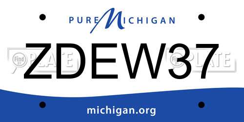 ZDEW37 Michigan License Plate